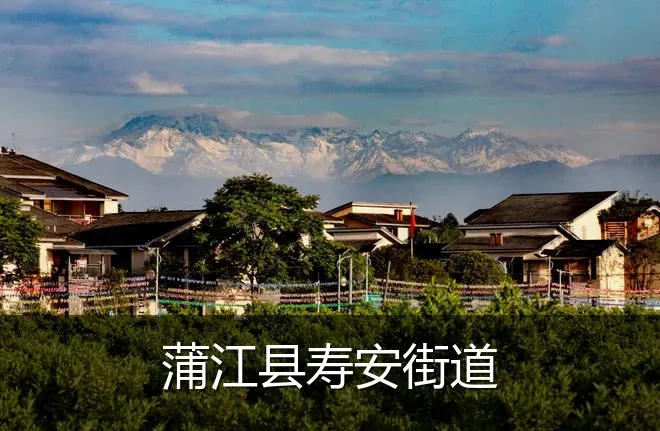 蒲江县寿安街道